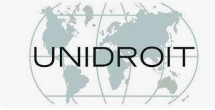 Unidroit working group on Best Practices in Enforcement