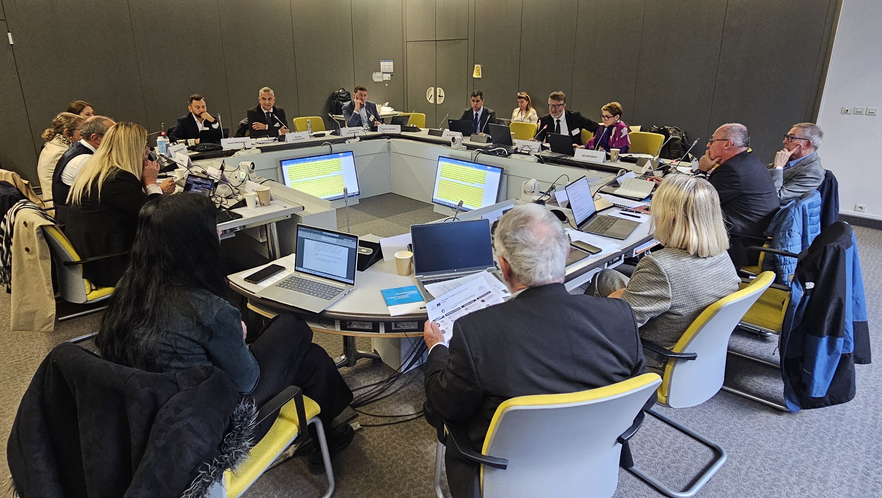 2nd CEPEJ-GT-EFF meeting in Strasbourg, on 27–28 October 2026